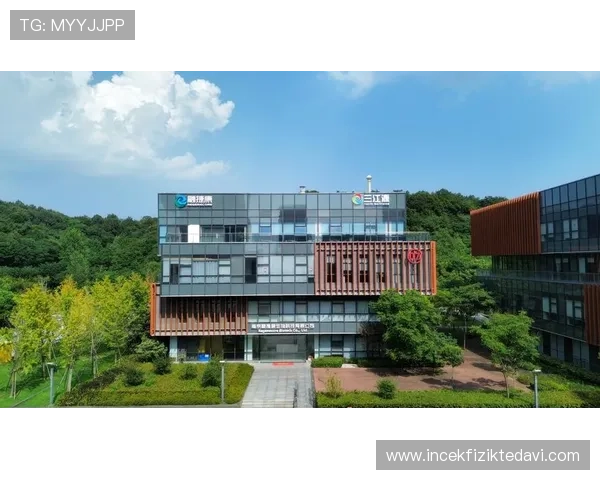 解析国际ag旗舰厅网站中常见的客户服务与支持功能